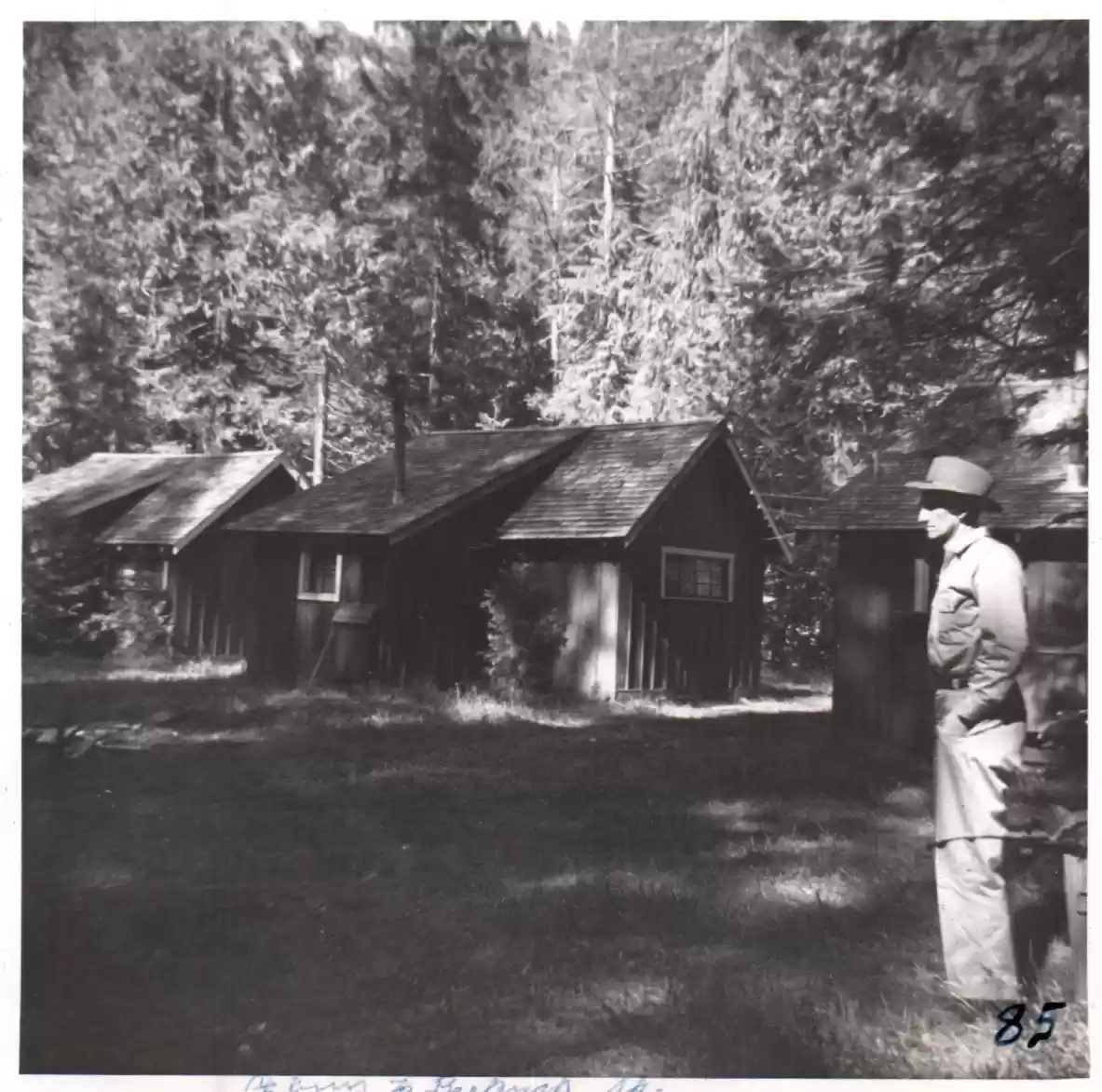 85 - Cabins at Belknap Springs, OR
